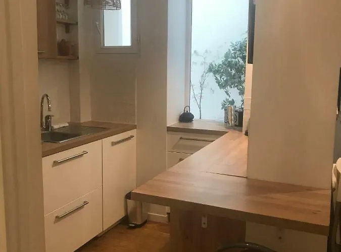 Parisian cosy flat
